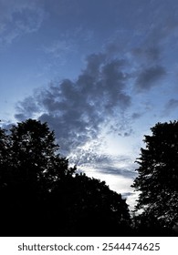 Sky with clouds and trees at night