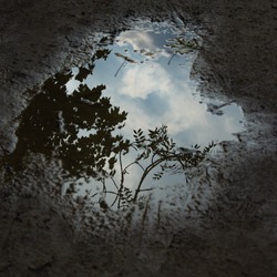 Sky, Clouds, Twigs And Leaves Reflected Dramatically In A Small Puddle That Seems To Have Captured A Whole World