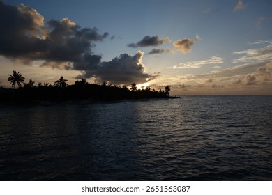 The sky is dark and cloudy, and the sun is setting over the ocean. The water is calm and the palm trees are swaying in the wind