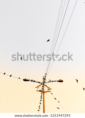 Similar – Image, Stock Photo Together towards the sun