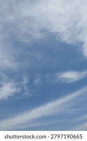 It is a sky with feathery clouds.