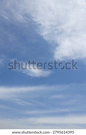 
It is a sky with feathery clouds.