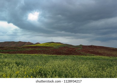 Sky and the Field