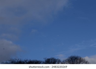 ‎‏The sky full of clouds and the trees