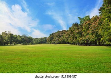 Sky and green grass field in city park