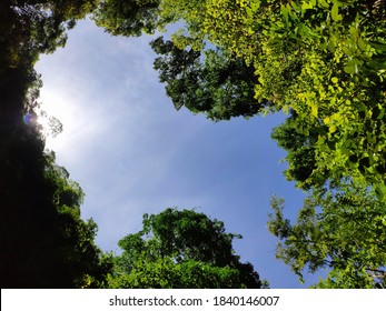 Sky In The Middle Of A Colombian Jungle