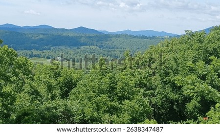 Sky mountain tree blueridge background 