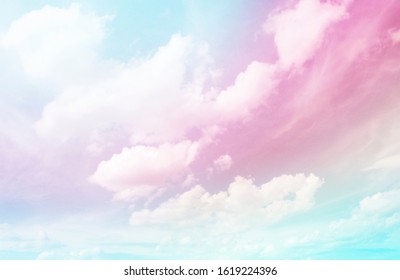 Cadetblue Hd Stock Images Shutterstock