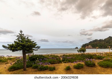 The Sky Over Whangamata Turns Orange From Smoke Blown Across The Tasman Sea From The Australian Bush Fires