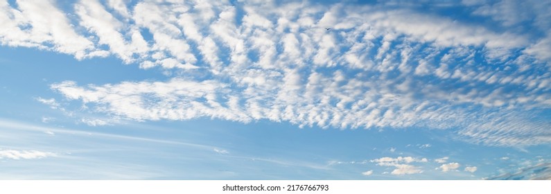 Sky Panorama With Cirrus Clouds On A Sunny Day. Beautiful Cirrus Cloud. Panoramic Image.