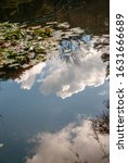 Sky reflected in a puddle