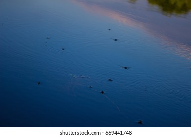 The sky is reflected in the water.