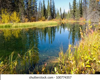 Sky Reflection On Calm Clear Taiga Wetland Pond In Yellow Of Fall, Yukon Territory, Canada.