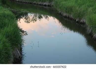 Sky reflection on a pond
