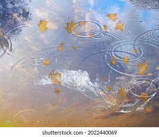 sky reflection in puddle water asphalt after rain bubbles rainy season autumn leaves fall building reflection on water