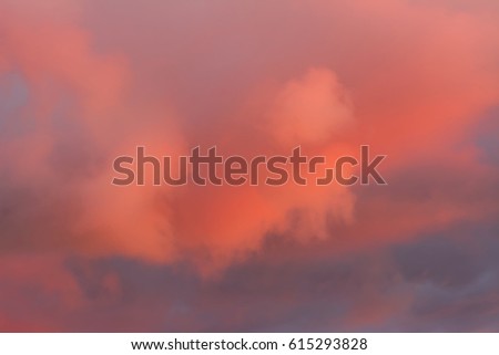 Similar – Image, Stock Photo A magically rosy, fluffy, fragrant cloud of cherry blossoms