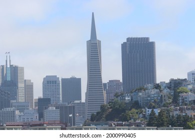 Sky Scrappers of San Francisco city