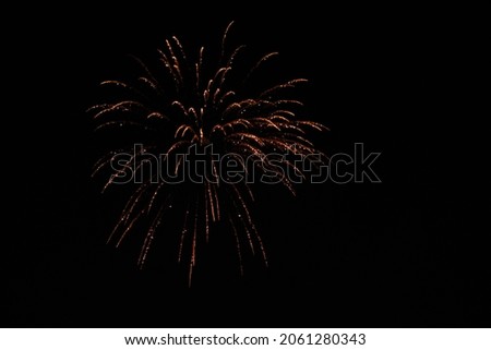 Sky shot firework in the sky during night against black background. Fireworks during the night of Diwali. Diwali background