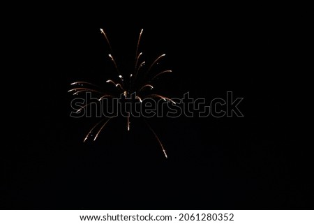 Sky shot firework in the sky during night against black background. Fireworks during the night of Diwali. Diwali background