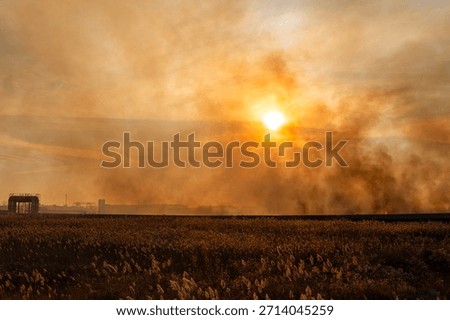 The sky is smoke-filled from spring fires of dead wood and fields, backlit by the sun, and there is a danger of forest fires near the city.