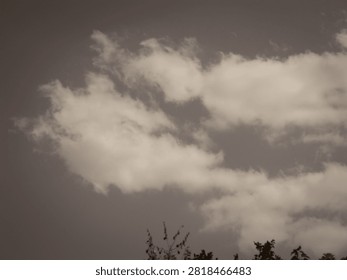 A sepia‑toned sky, soft and nostalgic. Clouds drift like gentle thoughts, while the plant silhouettes below add a poetic touch. The image evokes deep calm, a suspended moment between light and memory.