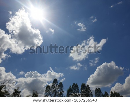 Sky and sun in winter at noon.