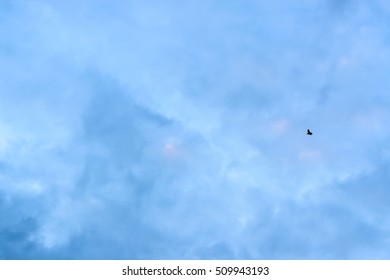 Sky at Sunset.