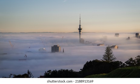 Sky Tower And Auckland City In A Sea Of Fog At Sunrise, From Mount Eden Summit.