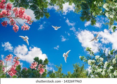sky with tree branches and flying birds