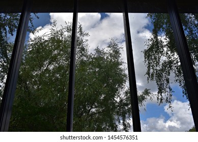 the sky and trees visible through the window