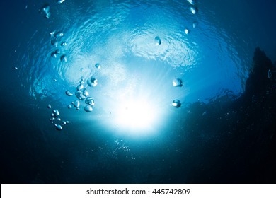 32,261 Underwater look Images, Stock Photos & Vectors | Shutterstock