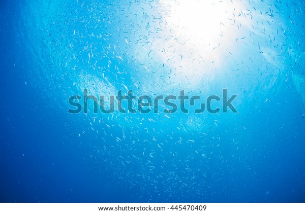 Sky from
underwater