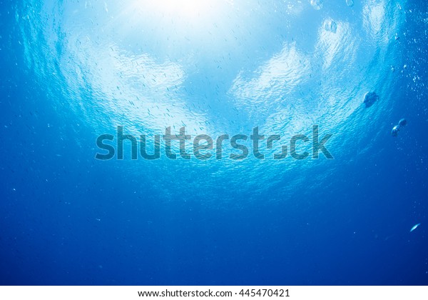 Sky from\
underwater