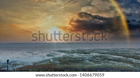 Similar – seagulls at sunset in the mudflats.