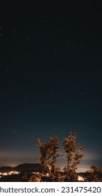 Sky View With Star And Tree