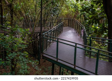 Sky Walk In Babakan Siliwangi City Forest Bandung, West Java, Indonesia