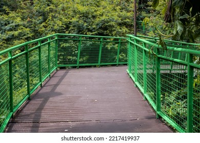 Sky Walk In Babakan Siliwangi City Forest Bandung, West Java, Indonesia