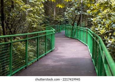 Sky Walk In Babakan Siliwangi City Forest Bandung, West Java, Indonesia