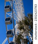 The Sky Wheel (ferris wheel) at Myrtle Beach seen from below with palm trees and blue sky.