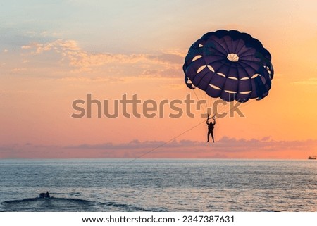 Skydiver falls into the sea at sunset
