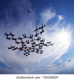 Skydiving Big Formation In Free Fall
