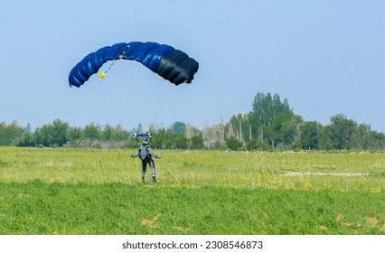 Skydiving. The landed parachutists collect the parachute canopy on the ground. Extreme sport and entertainment.