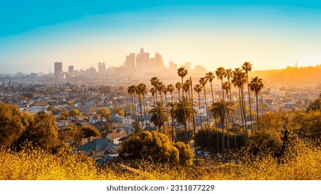 the skyline of los angeles during sunset - Shutterstock ID 2311877229
