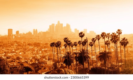 the skyline of los angeles with palm trees during sunset - Powered by Shutterstock