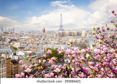 skyline of Paris city roofs with Eiffel Tower  with blooming magnolia spring tree, Paris, France - Shutterstock ID 390084601