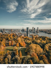 The Skyline Of Rotterdam, The Netherlands With Autumn Colors