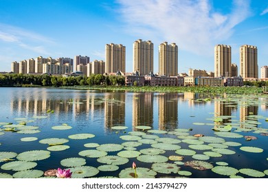 The skyline of a waterfront city, the reflection of urban buildings, and the reflection of the water surface of the lotus pond