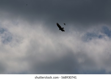 Sky-scape