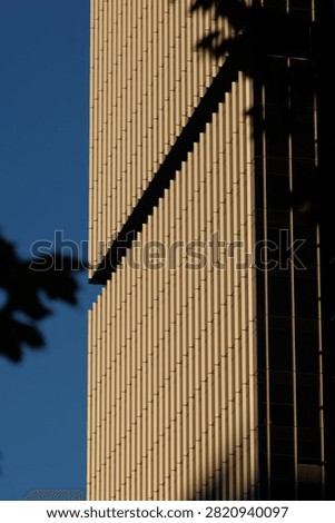 Skyscraper facade framed by dark tree leaves silhouettes. The modernist high-rise structure displays repetitive vertical concrete precast pillars bathed in warm golden hour sunlight against a clear blue sky. 
