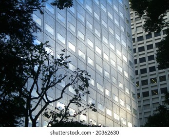 Skyscraper windows
